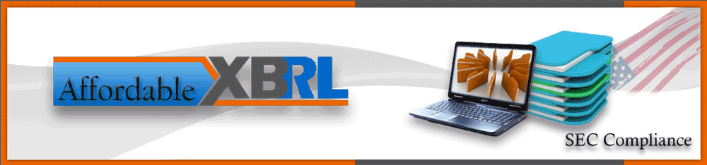 affordable xbrl services